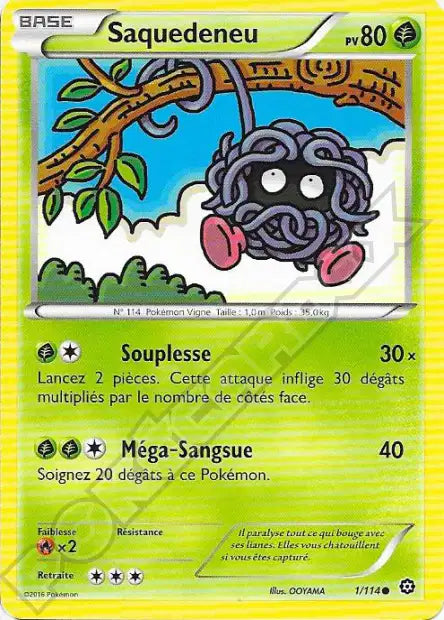 Carte Pokémon Saquedeneu 1/114 – Reverse Holo – Série Offensive Vapeur (État Mint)